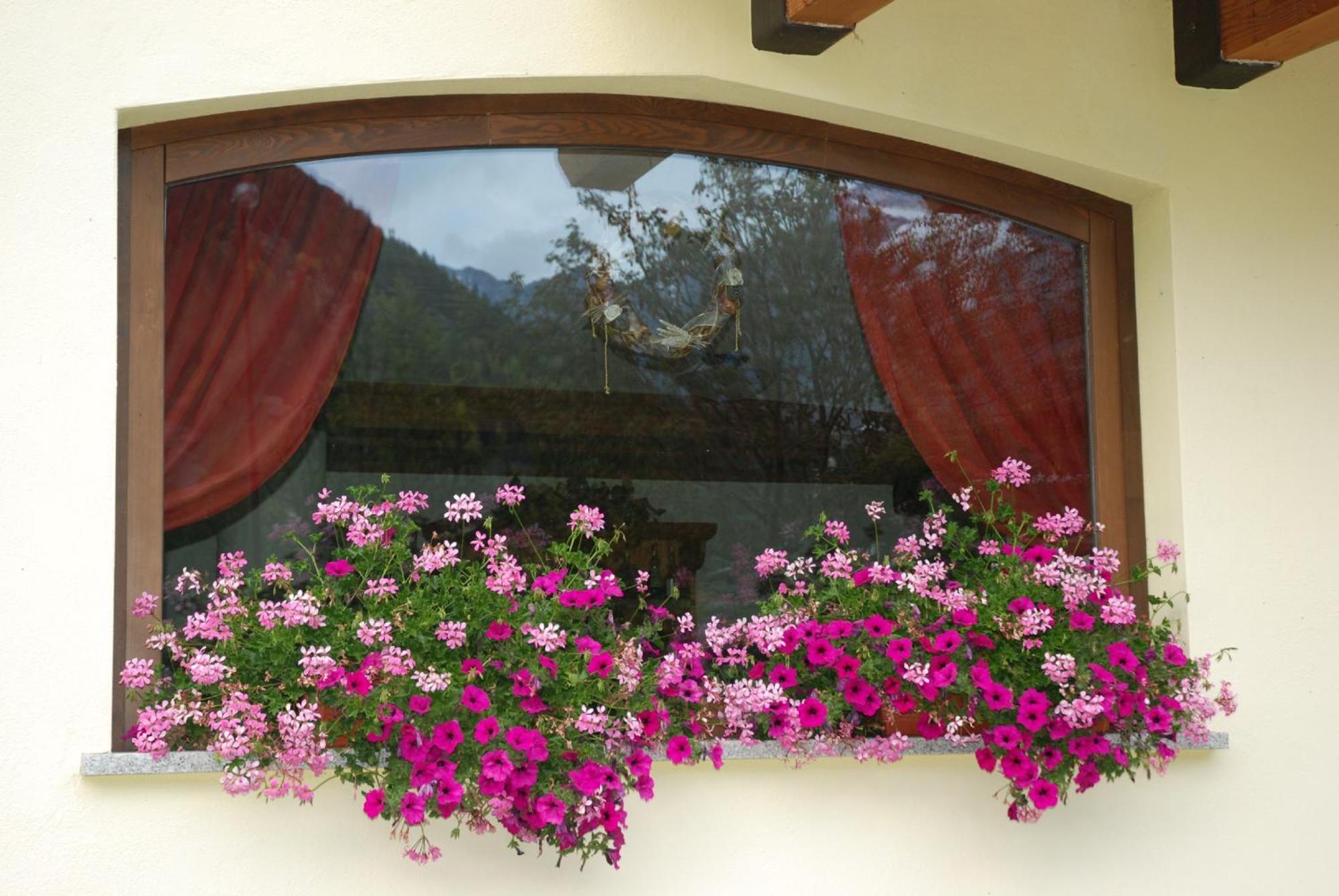 Residence Les Nigritelles Cogne Kültér fotó